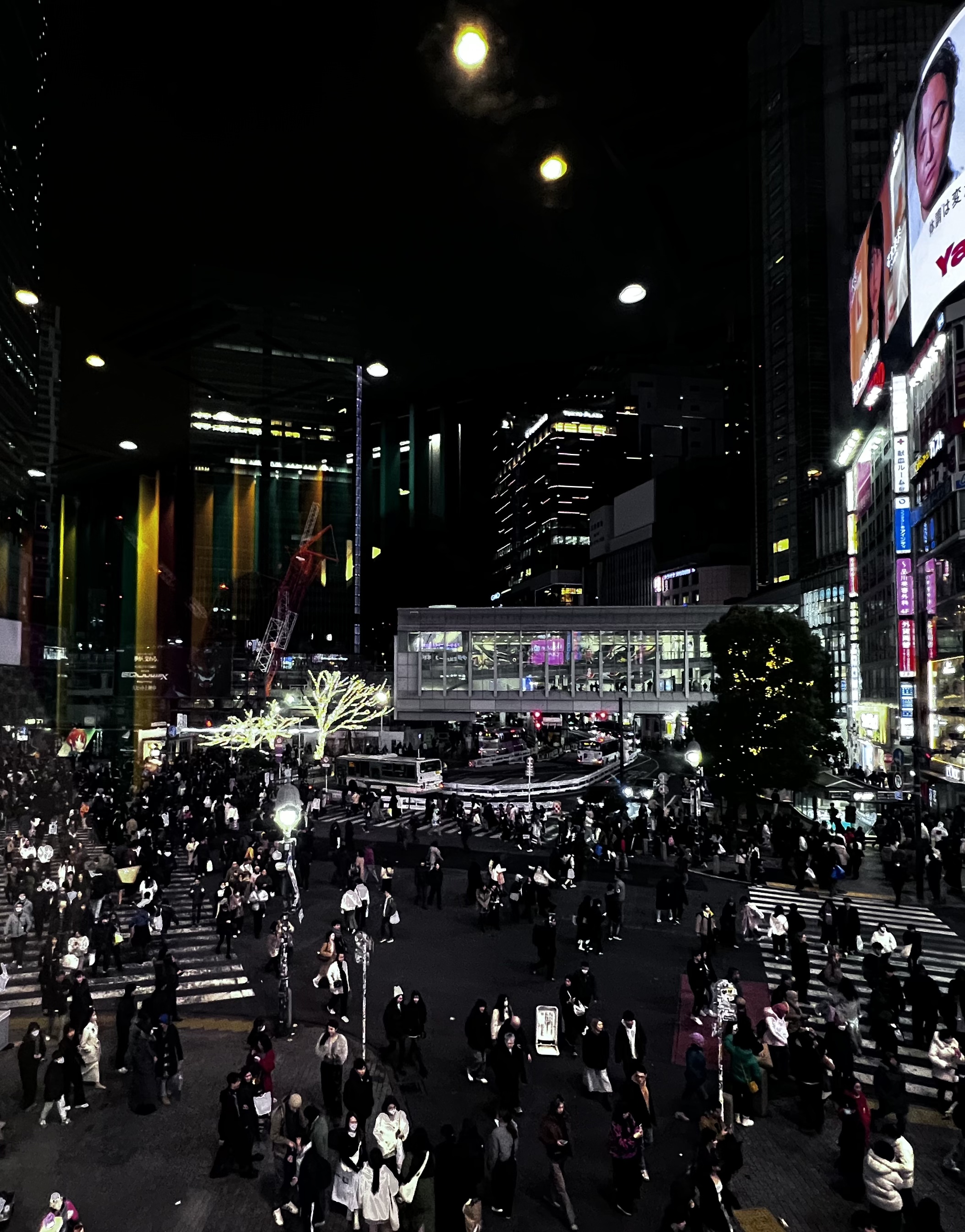 Shibuya Cross Street.jpg